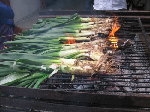 Calçots