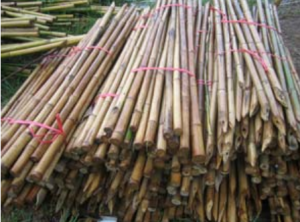 bambu apilado