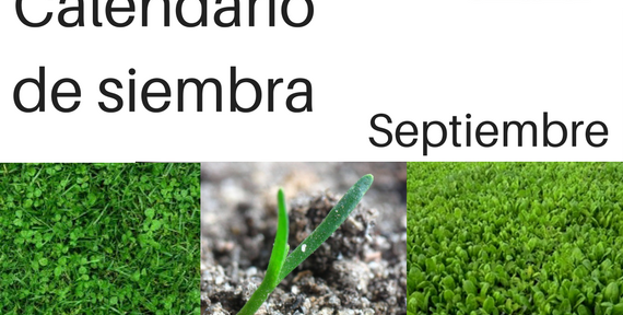 Siembra en septiembre