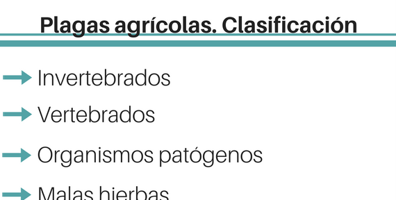 Plagas agrícolas. Clasificación