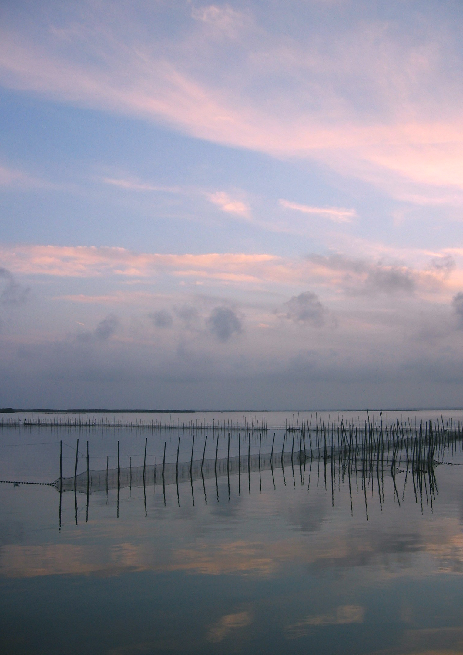 L'Albufera