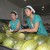 Mujeres trabajando en una fábrica de melones