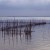 Albufera_Valencia