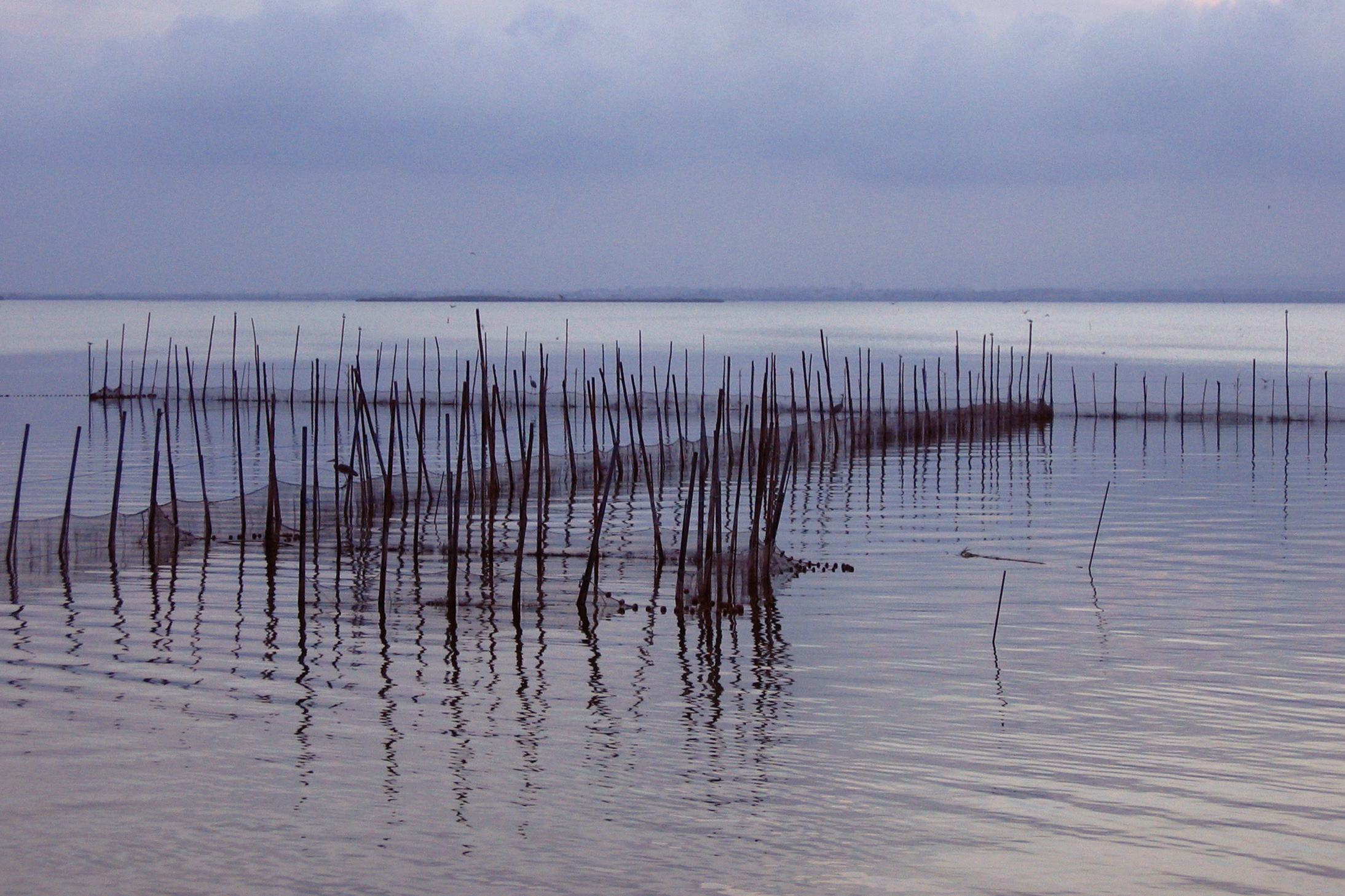 albufera