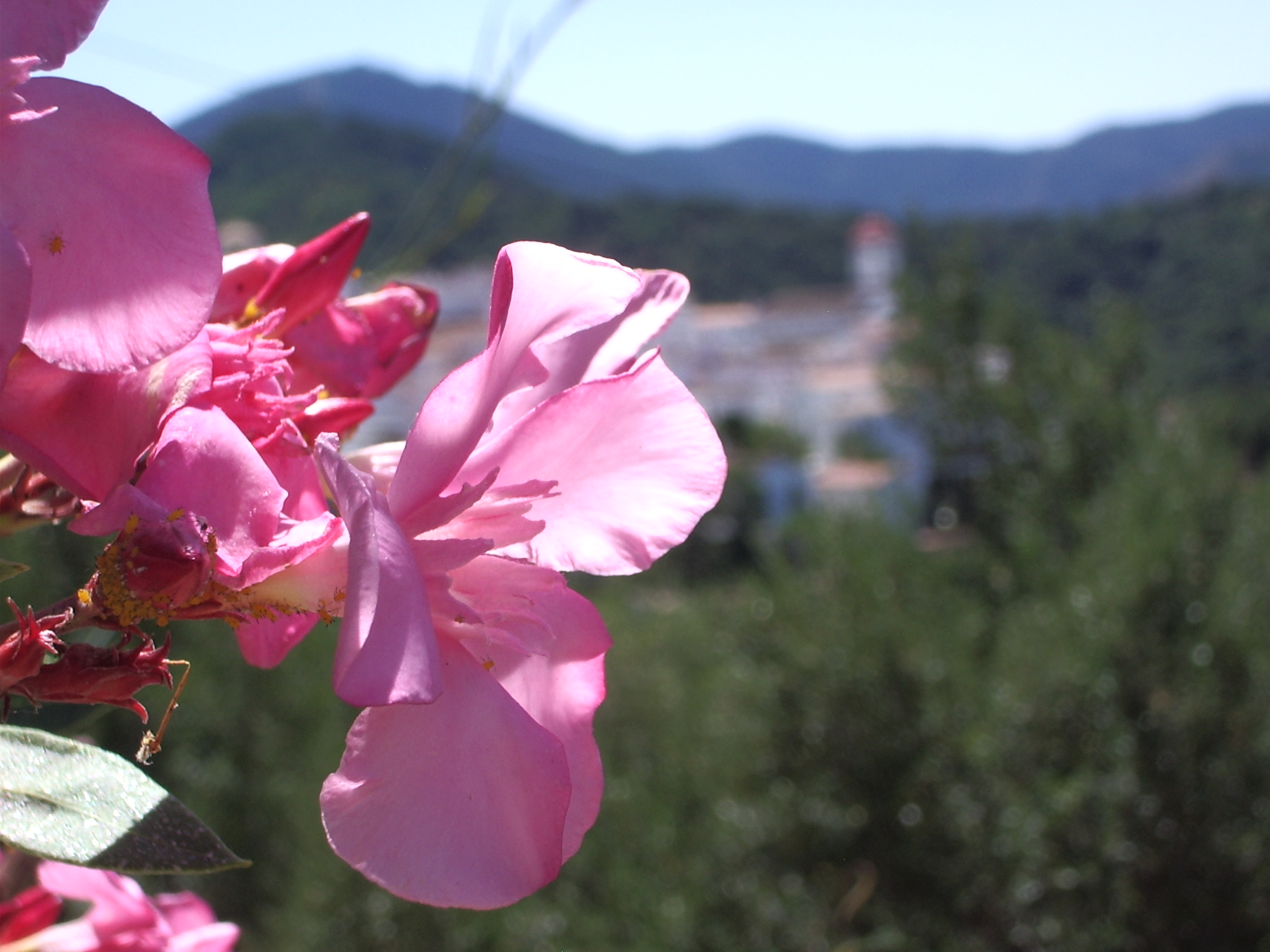 andalucia