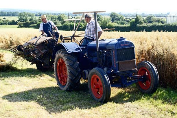 tractor