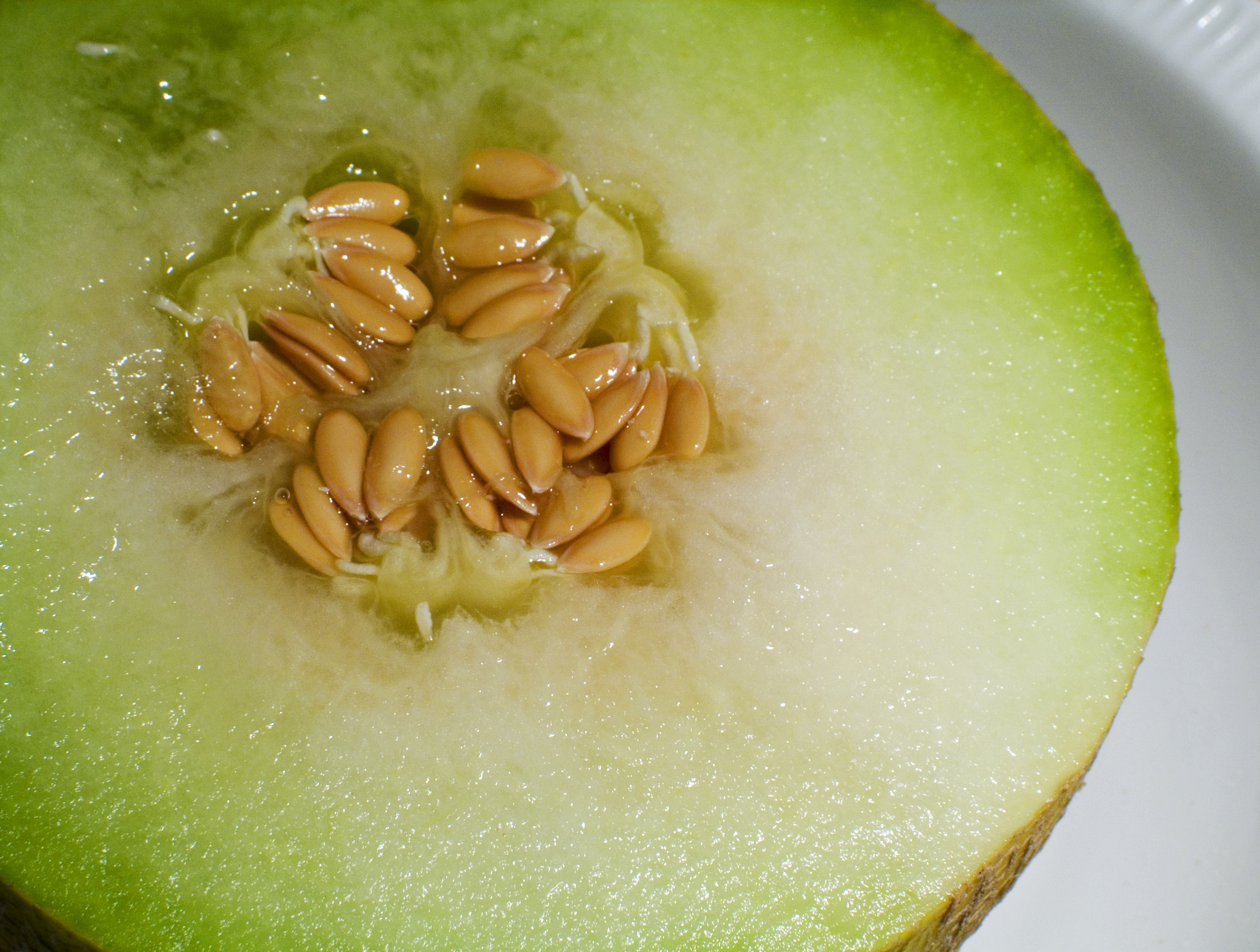 melón_fruta_fresca