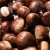 nueces