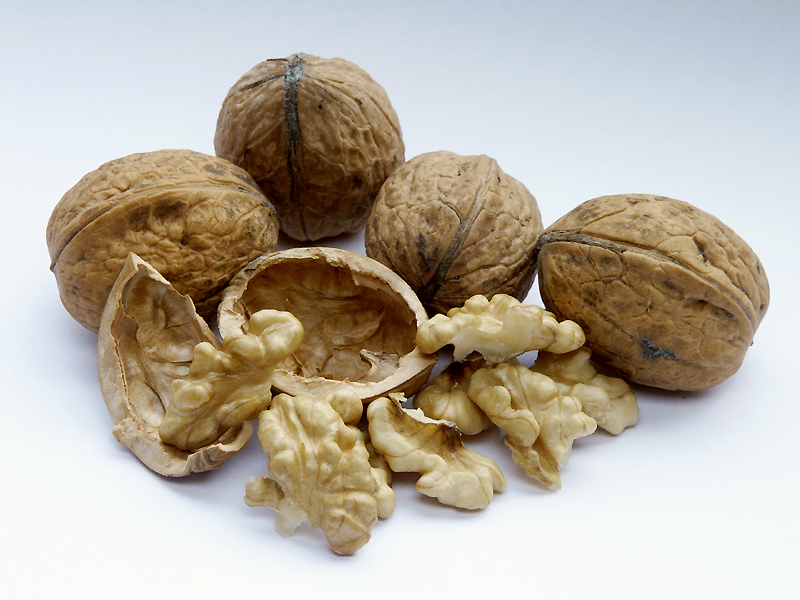 nueces