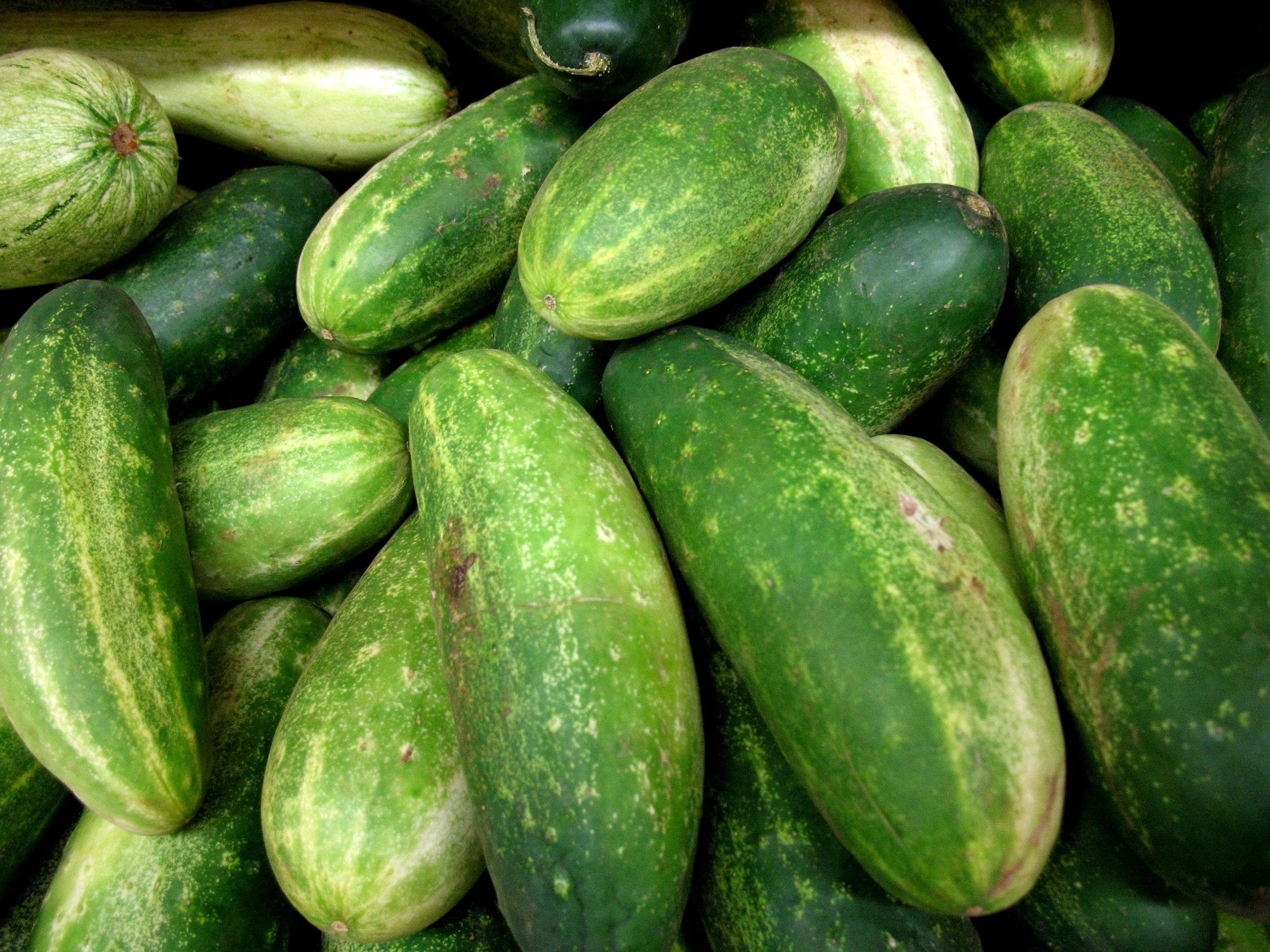 pepino