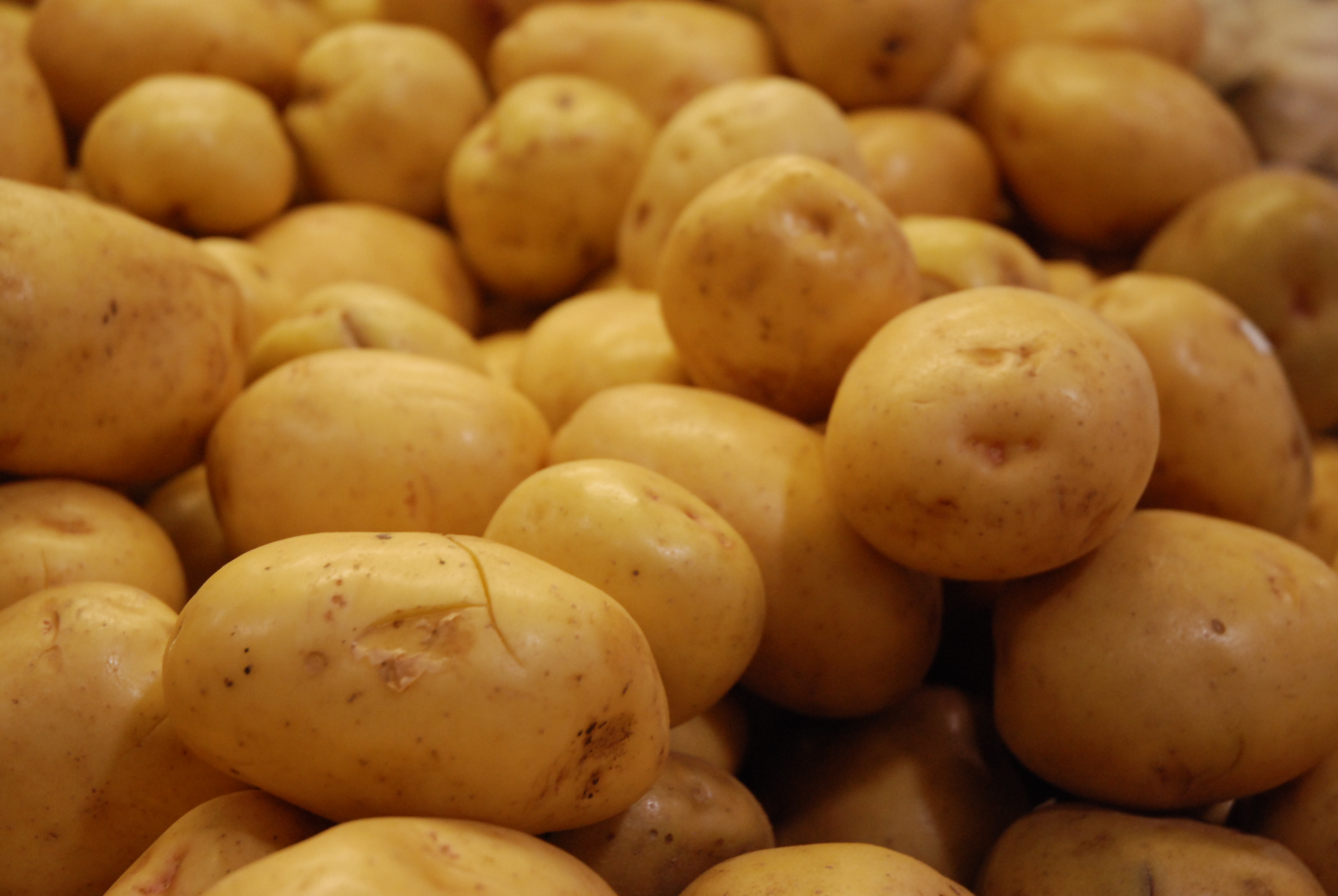 potatoes