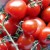 Tomates cherry