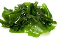 El alga wakame